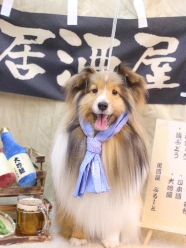 20240628ノアくん